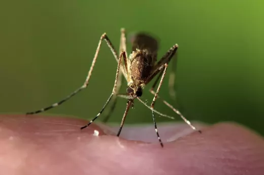 אל תהיה קשה מדי עם עצמך